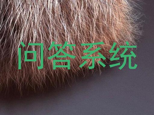 问答系统