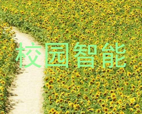 校园智能