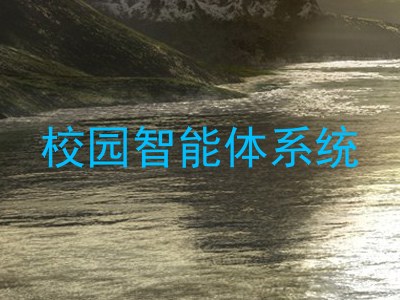 校园智能体系统