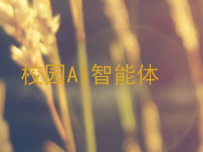 校园AI智能体