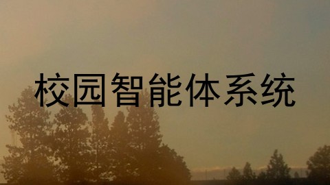 校园智能体系统