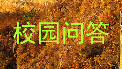 校园问答