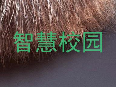 智慧校园