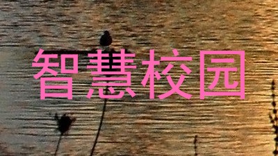 智慧校园