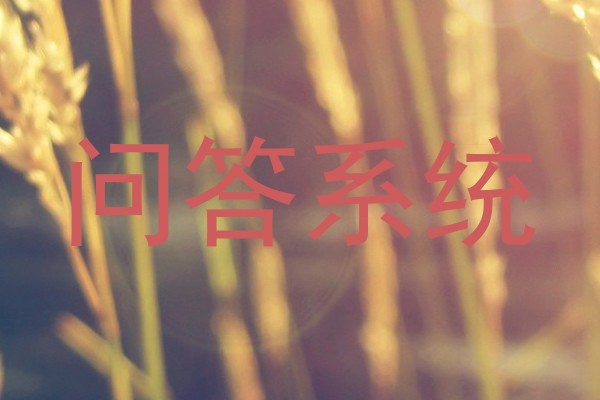 问答系统