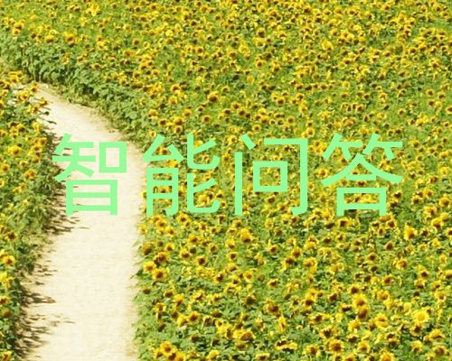 智能问答