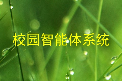 校园智能体系统