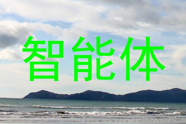 智能体