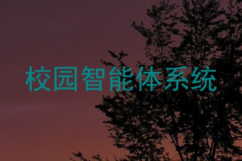 校园智能体系统
