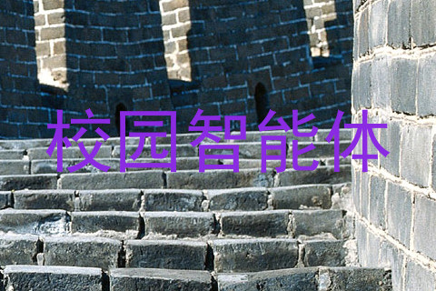 校园智能体