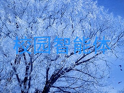 校园智能体