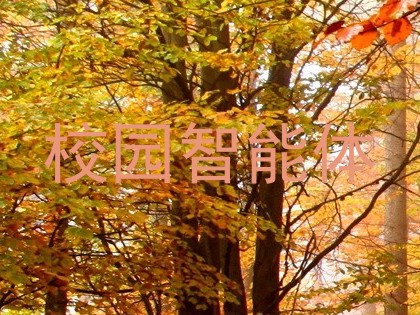 校园智能体