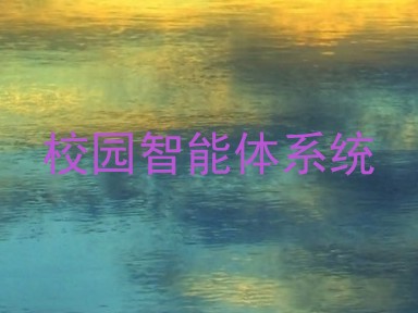 校园智能体系统