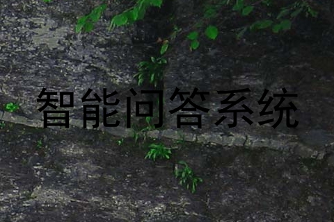 智能问答系统