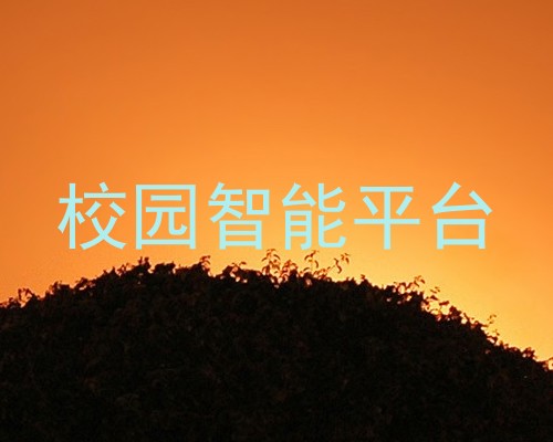 校园智能平台