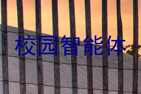 校园智能体