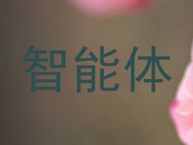 智能体