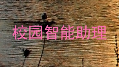 校园智能助理