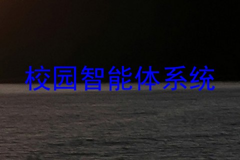校园智能体系统