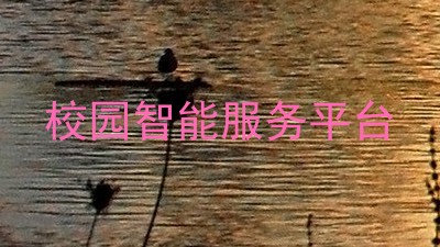 校园智能服务平台