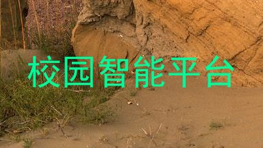 校园智能平台
