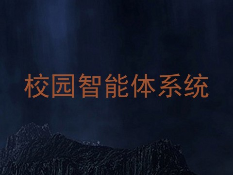 校园智能体系统