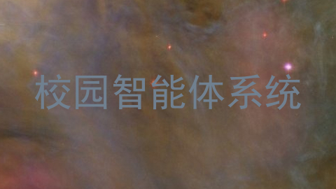 校园智能体系统