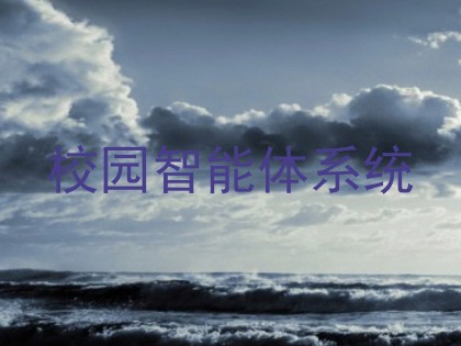 校园智能体系统