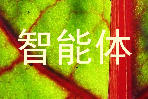 智能体