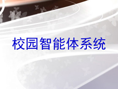 校园智能体系统