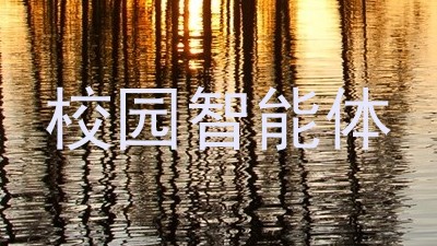 校园智能体