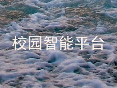 校园智能平台