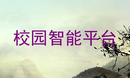 校园智能平台
