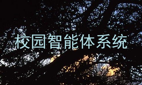 校园智能体系统