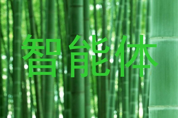 智能体