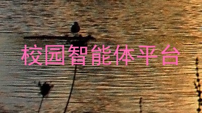 校园智能体平台