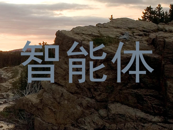 智能体