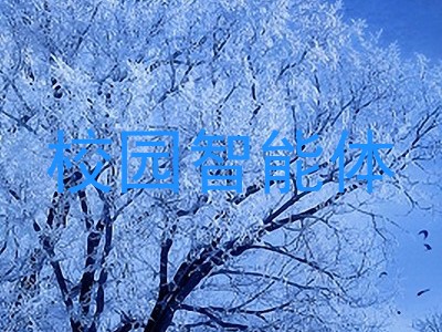 校园智能体