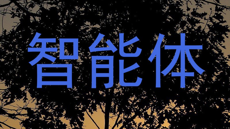 智能体