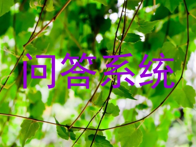 问答系统