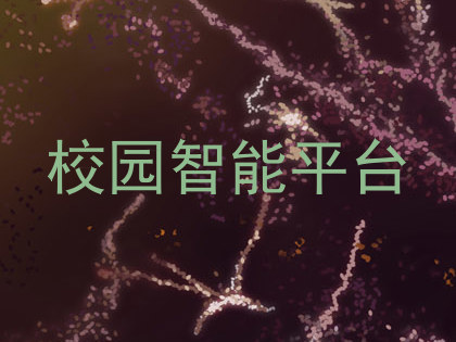 校园智能平台
