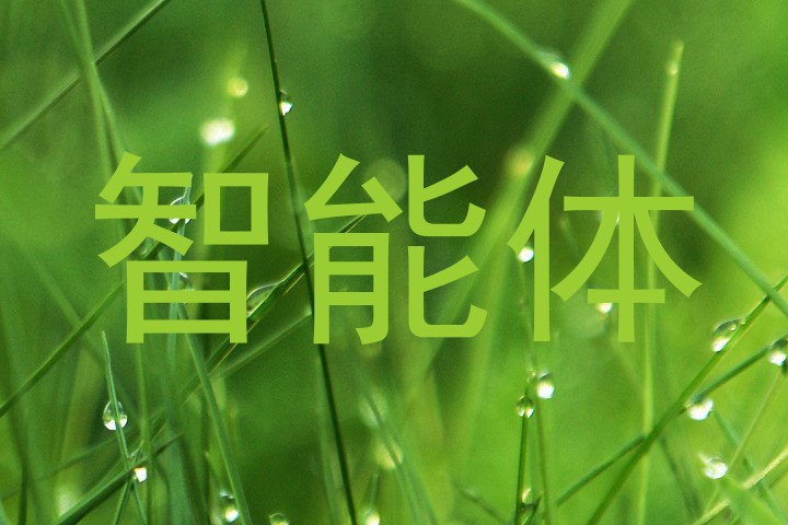 智能体