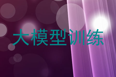 大模型训练