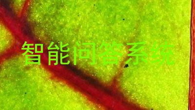 智能问答系统