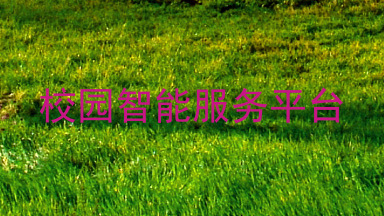 校园智能服务平台