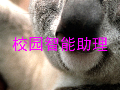 校园智能助理