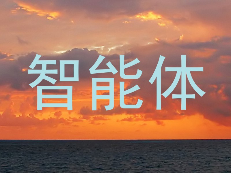 智能体