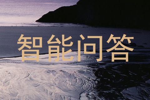 智能问答