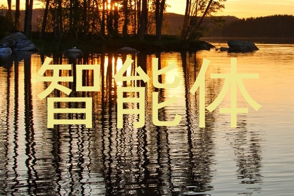 智能体