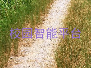 校园智能平台